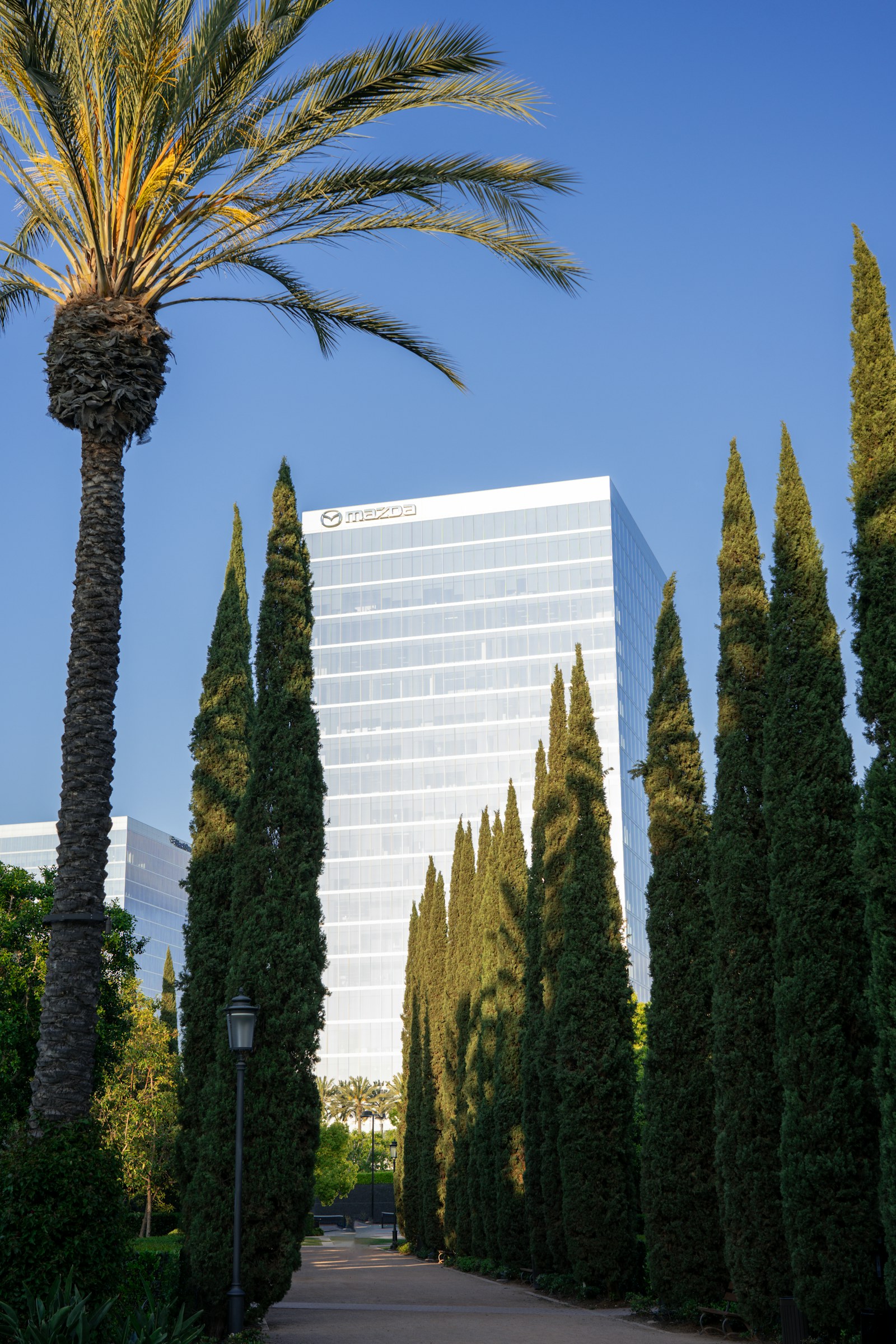 Irvine service coverage