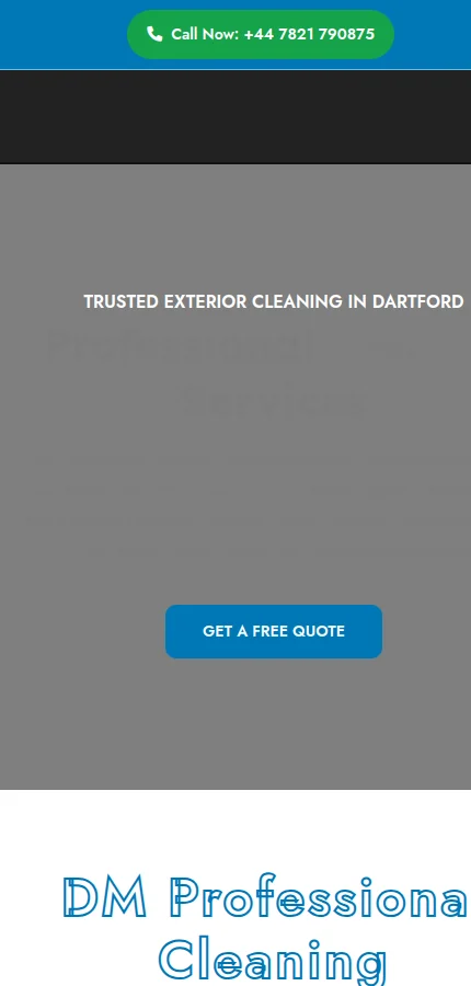 DM Professional Cleaning mobile website screenshot