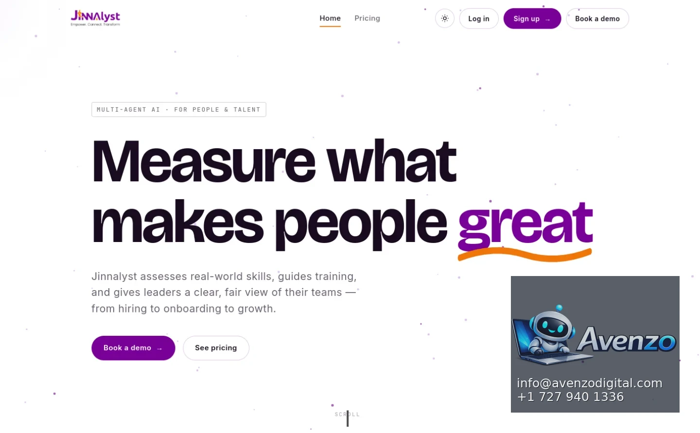 Jinnalyst additional website view