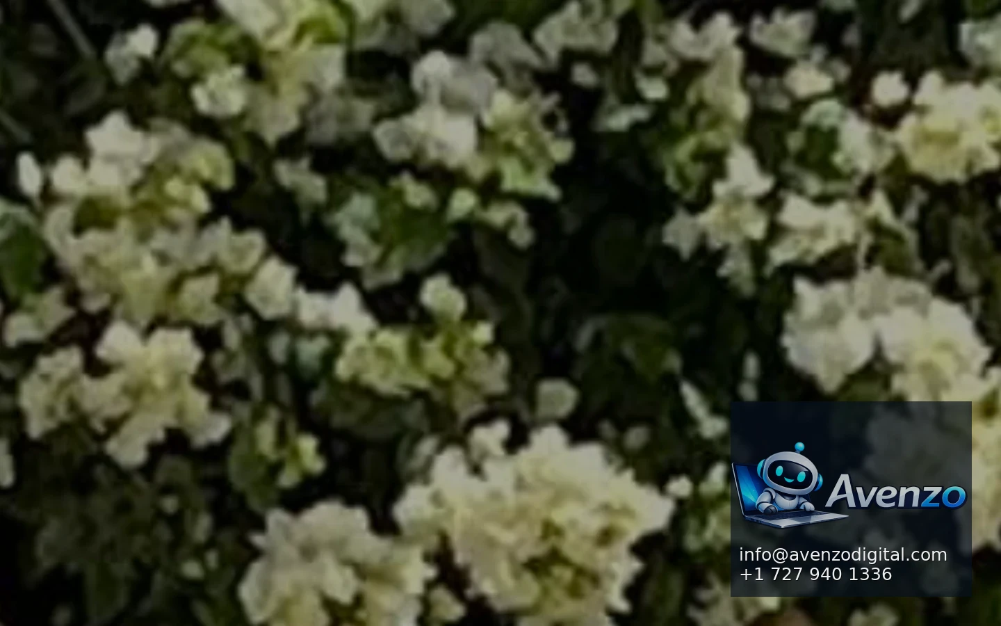 Path to Growth Therapy secondary website screenshot