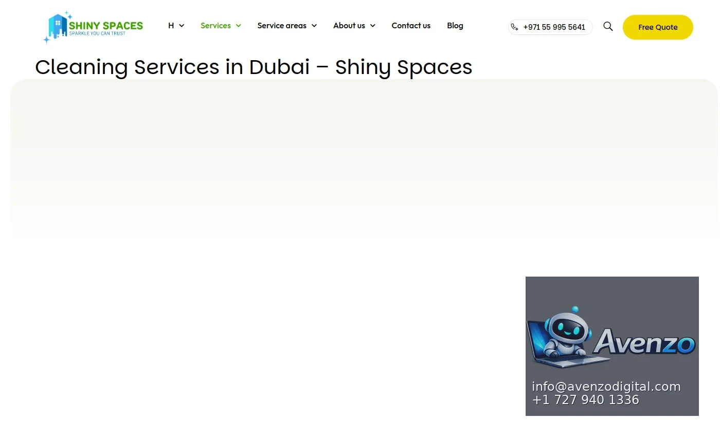 Shiny Spaces secondary website screenshot
