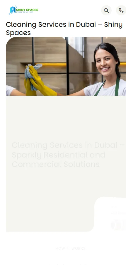 Shiny Spaces mobile website screenshot