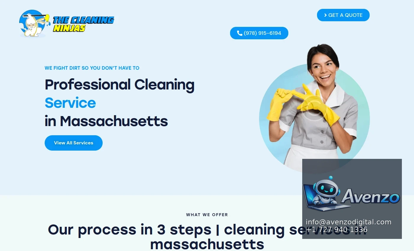 The Cleaning Ninjas — Landing Page & Conversion Case Study Homepage website screenshot