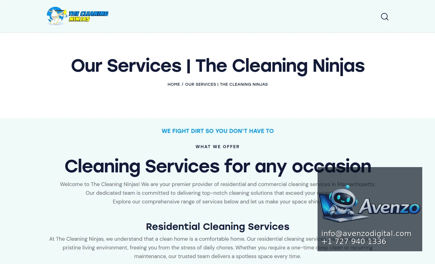The Cleaning Ninjas secondary website screenshot