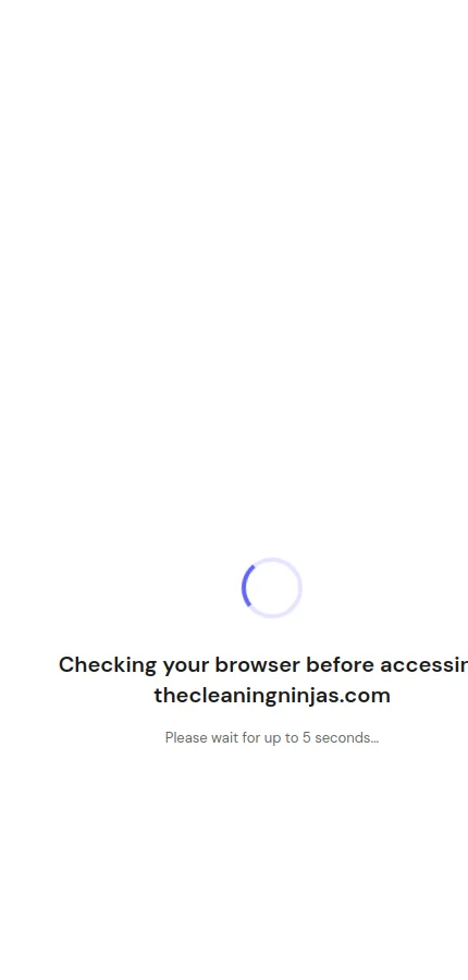 The Cleaning Ninjas mobile website screenshot