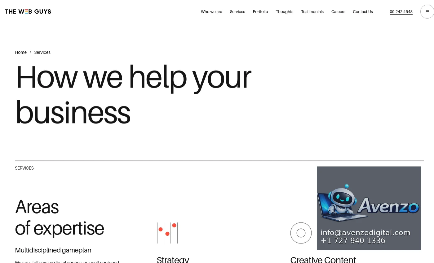 The Web Guys secondary website screenshot