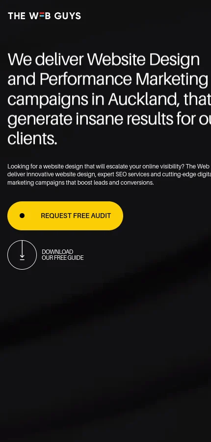 The Web Guys mobile website screenshot